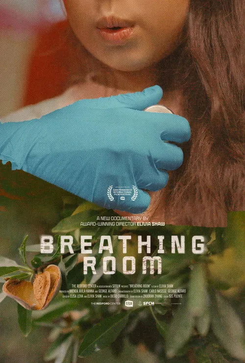 Breathing Room poster