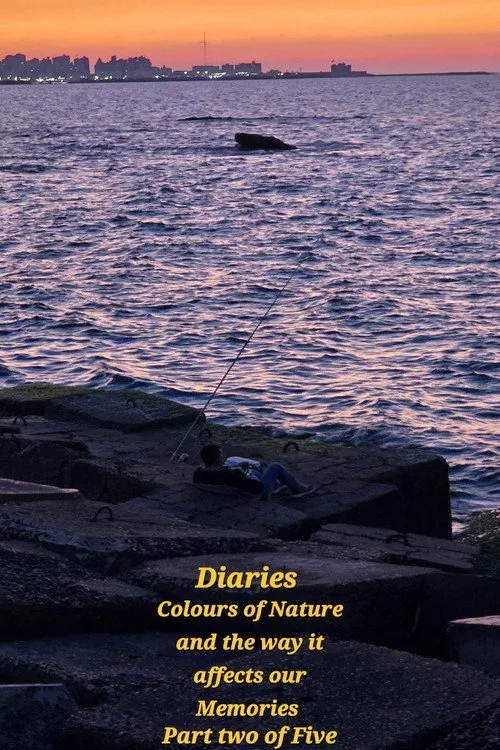 Diaries: Colours of Nature and the Way It Affects Our Memories. poster